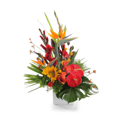 Inicio logo detalles dew flowers ecuador arreglo flores1