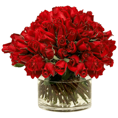 Inicio logo detalles dew flowers ecuador rosas arreglo